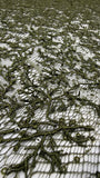 Vintage Stretch Chantilly - Olive